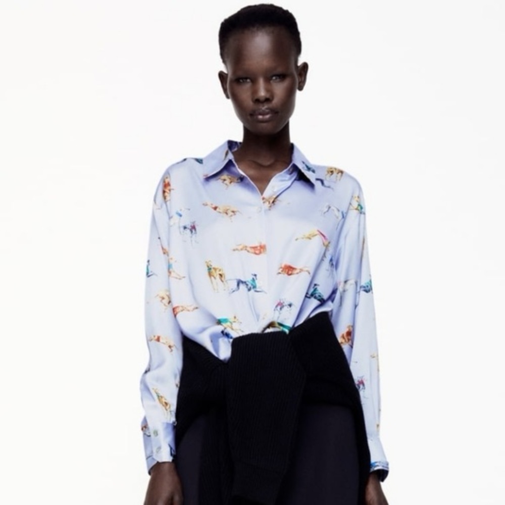 Zara greyhound print blue satin blouse